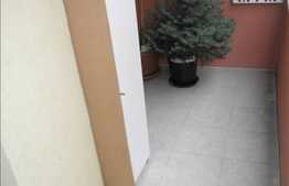 Apartament cu 1 camera, 47 mp, zona Stejarului, etaj intermediar