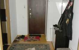 Vanzare 2 camere, 57 mp utili, decomandat, zona Porii!