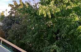 Exclusiv! Apartament cu 3 camere,2 bai,2 balcoane zona Arinilor, Manastur 