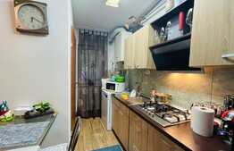 Apartament, 40 mp, la cheie, zona strazii Constantin Brancusi 