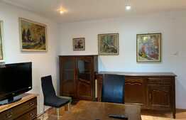 Apartament 2 camere, decomandat, 60 mp, pet friendly, zona strazii Traian