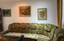 Apartament 2 camere, decomandat, 60 mp, pet friendly, zona strazii Traian