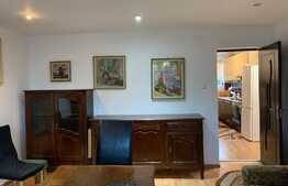 Apartament 2 camere, decomandat, 60 mp, pet friendly, zona strazii Traian