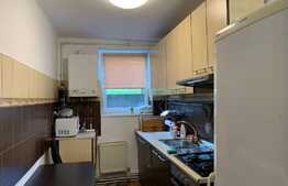 Apartament 2 camere, decomandat, 60 mp, pet friendly, zona strazii Traian