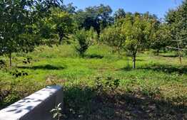 Casa de vanzare, 128 mp utili, teren aferent 1335 mp, panorama si aer curat, zona Aiton!