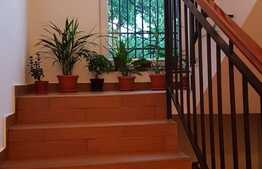 Apartament unicat pe 2 nivele, 173mp, zona Andrei Muresanu