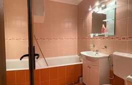 Apartament 2 camere,  45 mp, balcon, A.C., zona Profi 