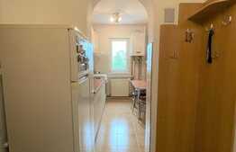 Apartament 2 camere,  45 mp, balcon, A.C., zona Profi 