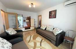 Apartament 2 camere,  45 mp, balcon, A.C., zona Profi 