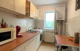 Apartament 2 camere,  45 mp, balcon, A.C., zona Profi 