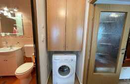 Apartament 2 camere,  45 mp, balcon, A.C., zona Profi 