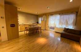 Apartament 2 camere, cochet, 57 mp, AC, parcare, Floresti!