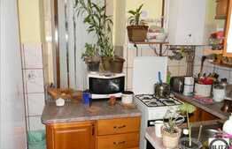 Apartament de vanzare in imobil tip casa ,cu  teren, 2 locuri de parcare incluse