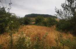 casa saseasca sanpetru