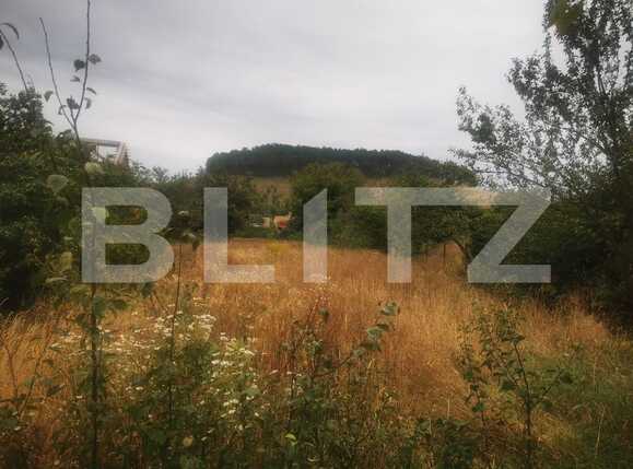 Casa de vânzare 4 camere Sanpetru - 72121CV | BLITZ Brașov | Poza6