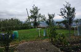 Teren cu suprafata de 500 mp, situat in cartierul Grigorescu, incadrare Liu 