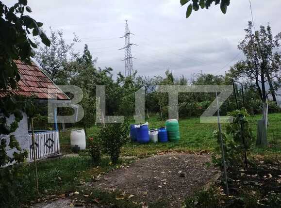 Teren de vânzare Grigorescu - 72136TV | BLITZ Cluj-Napoca | Poza3