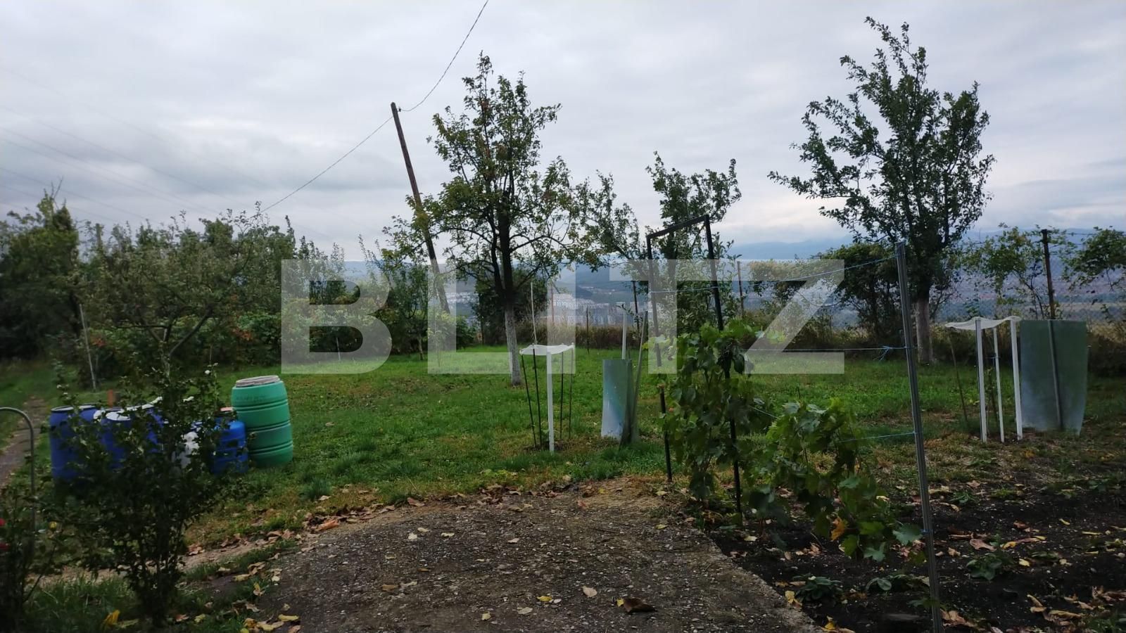 Teren de vânzare Grigorescu - 72136TV | BLITZ Cluj-Napoca | Poza2