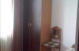 Vanzare apartament 2 camere, 32 mp utili, zona Albac