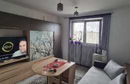 Garsoniera, 24 mp, zona Bartolomeu