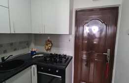 Garsoniera, 24 mp, zona Bartolomeu