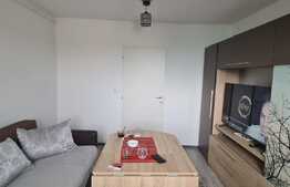 Garsoniera, 24 mp, zona Bartolomeu