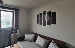 Garsoniera, 24 mp, zona Bartolomeu