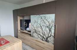 Garsoniera, 24 mp, zona Bartolomeu