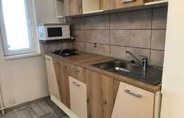 Garsoniera, 30 mp, etaj intermediar, pet friendly, zona strazii Gruia