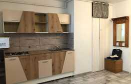 Garsoniera, 30 mp, etaj intermediar, pet friendly, zona strazii Gruia