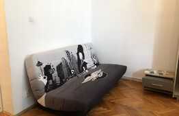 Garsoniera, 30 mp, etaj intermediar, pet friendly, zona strazii Gruia