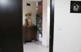 Vila de lux cu vedere panoramica spre Tampa, 260mp utili, 500mp teren