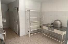 Spatiu comercial, 100 mp, 2 parcari, zona valea Seaca