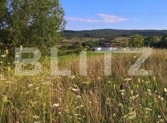 Teren de vânzare Sopor - 72154TV | BLITZ Cluj-Napoca | Poza1