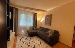 Apartament de 2 camere, modern, 40 mp, pet friendly, zona McDonald's