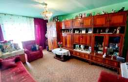 Apartament 3 camere, 2 garaje, zona Gheorghe Doja!