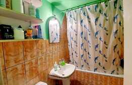 Apartament 3 camere, 2 garaje, zona Gheorghe Doja!