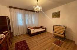 Apartament 2 camere, 50 mp, pet friendly, parcare, zona strazii Unirii