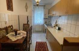 Apartament 2 camere, 50 mp, pet friendly, parcare, zona strazii Unirii