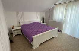 Casa individuala cu suprafata generoasa de teren, mobilata, 115 mp, Gilau 