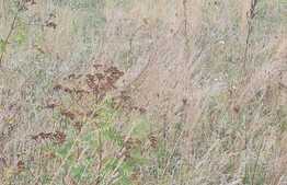 Teren pentru constructii industriale, front la E60, zona Luna de Sus