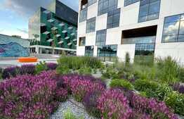 Spatiu de birouri ready-to move, Clasa A, 405 mp, Cladire Verde Certificata