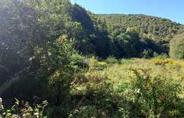 Teren in zona Valea Ierii, 9691 mp, front 84,71ml