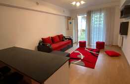 Apartament 2 camere, 50 mp, pet friendly, zona Porii! 
