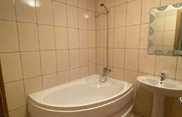 Apartament 2 camere, 50 mp, pet friendly, zona Porii! 