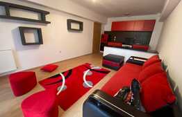 Apartament 2 camere, 50 mp, pet friendly, zona Porii! 