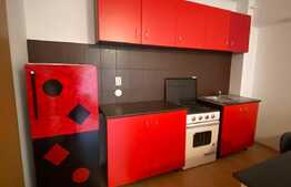 Apartament 2 camere, 50 mp, pet friendly, zona Porii! 