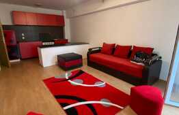 Apartament 2 camere, 50 mp, pet friendly, zona Porii! 