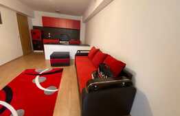 Apartament 2 camere, 50 mp, pet friendly, zona Porii! 