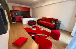 Apartament 2 camere, 50 mp, pet friendly, zona Porii! 